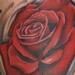 tattoo galleries/ - Red, Red  Rose - 65581
